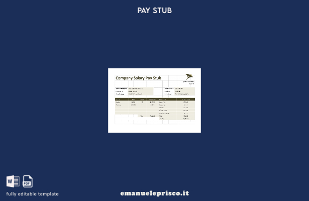 Modello di busta paga salariale aziendale di stile verificato